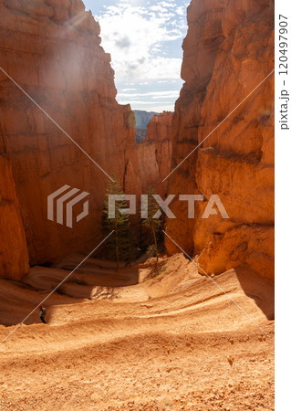 Hikers on Trails in Bryce Canyon National Park's Iconic Red Rock Formations Hikers on Trails in Bryce Canyon National Park's Iconic Red Rock Formations 120497907