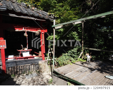 猫の細道の風景 120497915