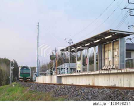 烏山線　小塙駅　ACCUM　11月の夕方 120498254