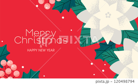 ポインセチアと木の実のクリスマス背景デザイン 120498794