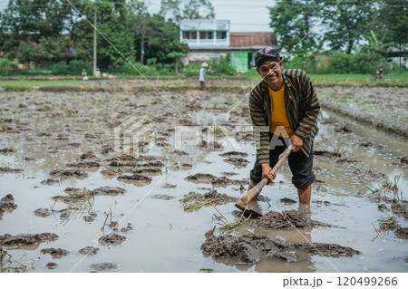A dedicated rural farmer is cultivating a lush rice field in Indonesias countryside 120499266