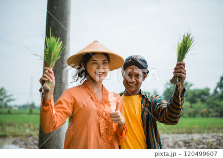 Farmers celebrate while engaging in rice planting in lush, fertile fields 120499607
