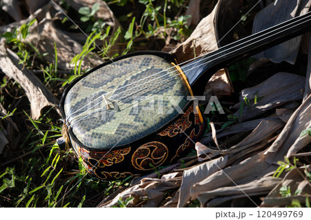 沖縄三線イメージ 120499769