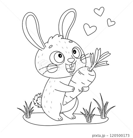 Cute rabbit holding carrot doodle style. Hand drawn bunny coloring page. love carrot Pet character 120500173