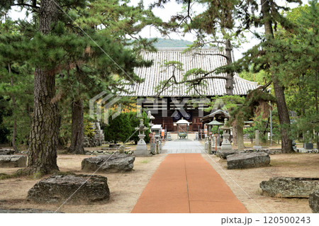 第80番札所 白牛山 千手院 国分寺(本堂) 【香川県高松市国分寺町】 第80番札所 白牛山 千手院 国分寺(本堂) 【香川県高松市国分寺町】 120500243
