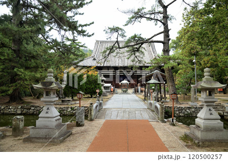 第80番札所 白牛山 千手院 国分寺(本堂) 【香川県高松市国分寺町】 第80番札所 白牛山 千手院 国分寺(本堂) 【香川県高松市国分寺町】 120500257