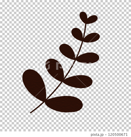 brown leafs  120500671