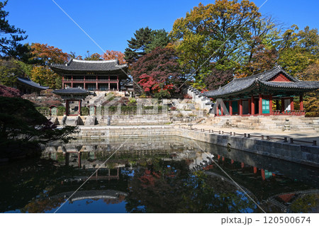 Autumn at Changdeokgung Palace 120500674
