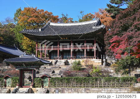 Autumn at Changdeokgung Palace 120500675