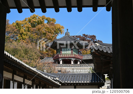 Autumn at Changdeokgung Palace 120500706