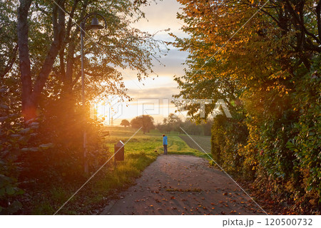 Serene Path Through Vibrant Woods at Sunset: A Woman Enjoys the Falling Leaves and Rolling Hills Under a Colorful Sky. 120500732