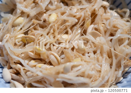 豆もやしナムルのイメージ　(写真素材) 120500771