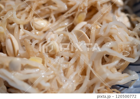 豆もやしナムルのイメージ (写真素材) 豆もやしナムルのイメージ (写真素材) 120500772