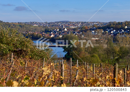 A river view through a vineyard with a city backdrop. Picturesque View of a Flowing River Through Lush Vineyards with Charming City in the Background, Capturing the Essence of Autumn in Germany. 120500843