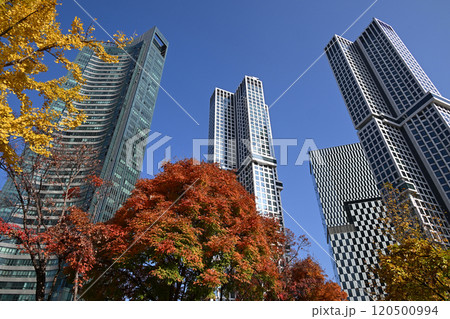 Seoul Forest Park and surrounding apartments and buildings 120500994