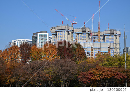 Seoul Forest Park and surrounding apartments and buildings Seoul Forest Park and surrounding apartments and buildings 120500995