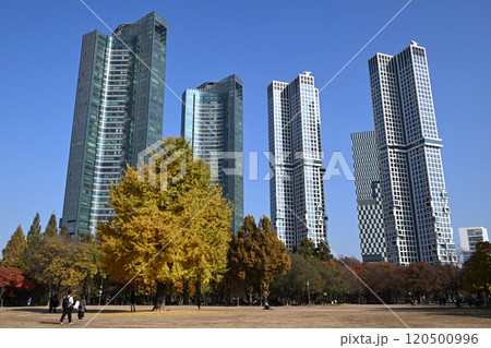 Seoul Forest Park and surrounding apartments and buildings 120500996