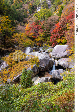 秋の昇仙峡 秋の昇仙峡 120501702
