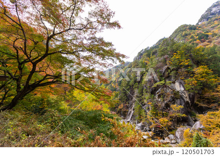 秋の昇仙峡 秋の昇仙峡 120501703