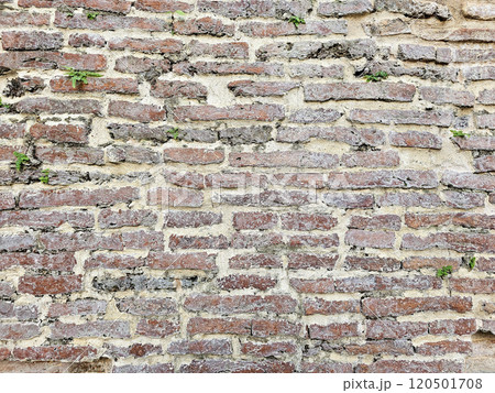 Old brick wall texture for background. 120501708