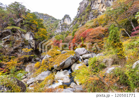 秋の昇仙峡 120501771