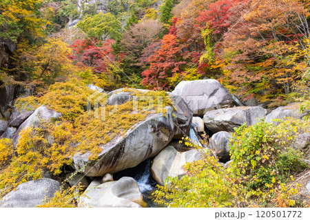秋の昇仙峡 120501772