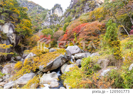 秋の昇仙峡 120501773