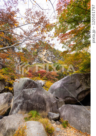 秋の昇仙峡 120501797