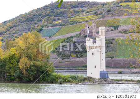 ドイツのライン川のねずみの塔の景色 120501973