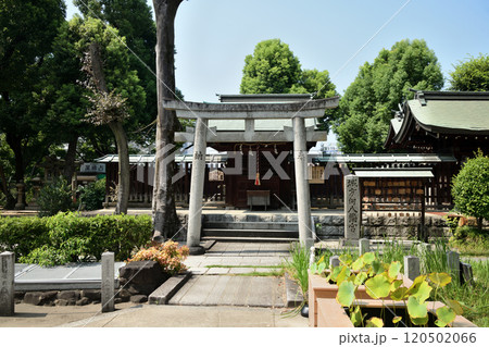 生國魂神社(城方向八幡宮) 【大阪市天王寺区生玉町】 生國魂神社(城方向八幡宮) 【大阪市天王寺区生玉町】 120502066