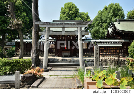 生國魂神社(鞴神社) 【大阪市天王寺区生玉町】 生國魂神社(鞴神社) 【大阪市天王寺区生玉町】 120502067