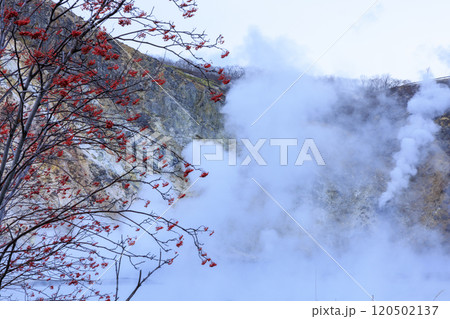 北海道・登別温泉の大湯沼 – 活火山と湯けむりの絶景 北海道・登別温泉の大湯沼 – 活火山と湯けむりの絶景 120502137