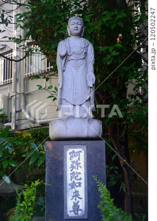 大阪福島了徳院境内の阿弥陀如来像 120502247