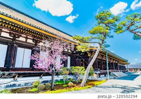 京都 三十三間堂　本堂 120502294