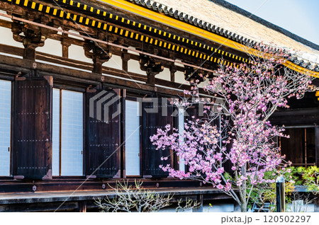 京都 三十三間堂　本堂 120502297