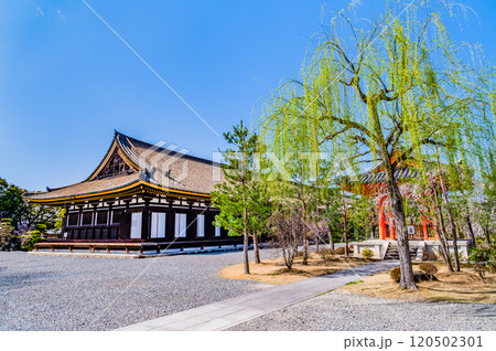 京都 三十三間堂　本堂 120502301