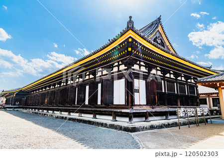 京都 三十三間堂　本堂 120502303