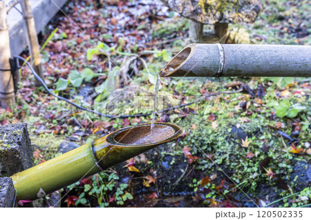秋の天守閣自然公園　鹿威し　宮城県仙台市 120502335