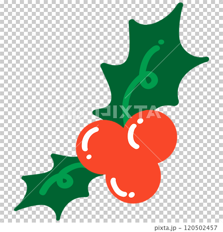 christmas holly berry 120502457