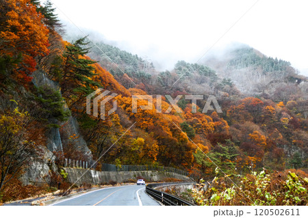 仙岩トンネルを越えた仙岩峠の国道46号線の初雪の初冬の風景 120502611