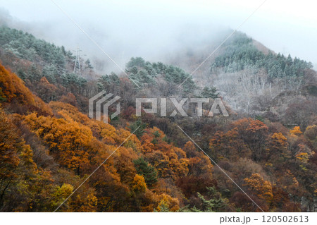 仙岩トンネルを越えた仙岩峠の初雪の初冬の風景 120502613