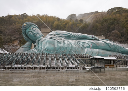 Nanzoin Temple, Fukuoka, Japan - JANUARY 24, 2023 : Nanzo-in Temple is Shingon Buddhist temple in Fukuoka .Landmark is bronze statue of biggest Buddha. Nanzoin Temple, Fukuoka, Japan - JANUARY 24, 2023 : Nanzo-in Temple is Shingon Buddhist temple in Fukuoka .Landmark is bronze statue of biggest Buddha. 120502756