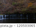 オレンジ色に紅葉した木と白糸の滝 120503065