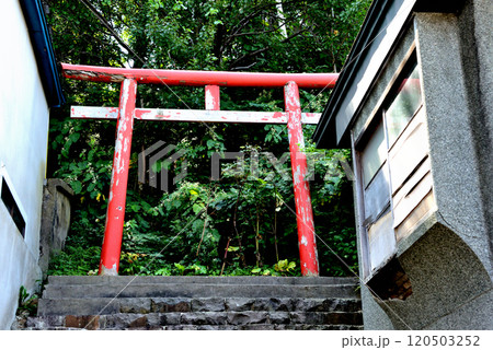 小樽市 小樽地守稲荷神社の通れない鳥居 120503252