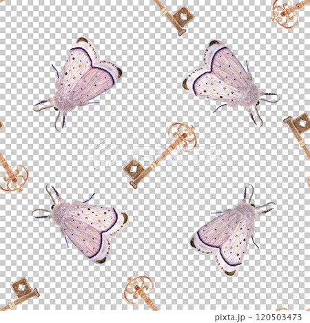 Antique lock with beautiful key and pink moth watercolor seamless pattern isolated on white. Hand painted illustration perfect for wrapping paper, textile, stationary decor, scrapbooking. Vintage Antique lock with beautiful key and pink moth watercolor seamless pattern isolated on white. Hand painted illustration perfect for wrapping paper, textile, stationary decor, scrapbooking. Vintage 120503473