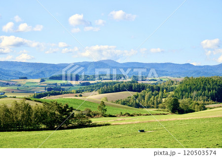 北海道らしい風景 北海道らしい風景 120503574