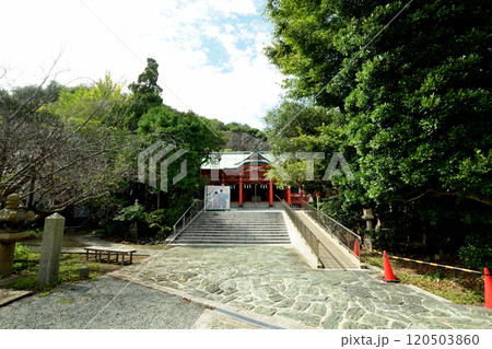 淡嶋神社 【和歌山県和歌山市】 淡嶋神社 【和歌山県和歌山市】 120503860