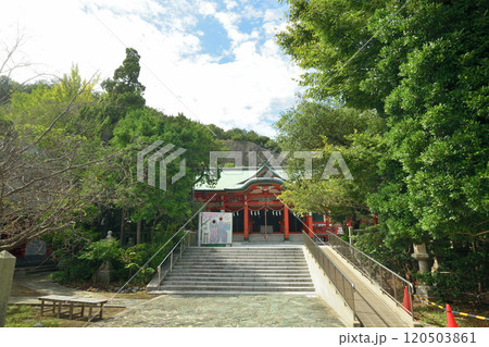 淡嶋神社　【和歌山県和歌山市】 120503861