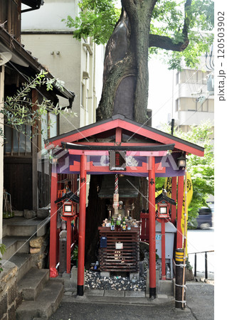 榎木大明神 【大阪市中央区安堂寺町】 榎木大明神 【大阪市中央区安堂寺町】 120503902