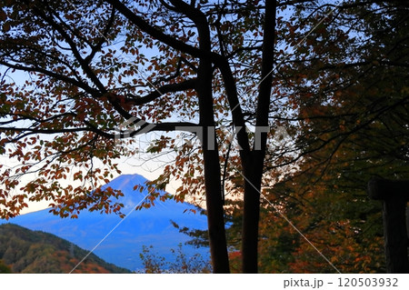 紅葉の御坂峠天下茶屋からの富士山展望 紅葉の御坂峠天下茶屋からの富士山展望 120503932